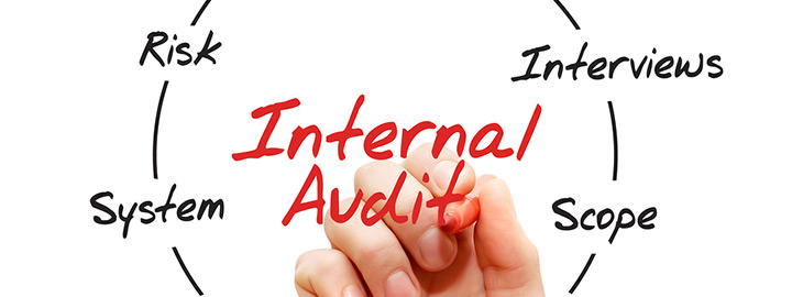 Internal audit in india
