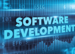 Software Development Company In Delhi